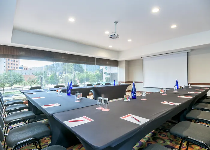 Pets Allowed Hotel Nh Collection Bogota Wtc Royal