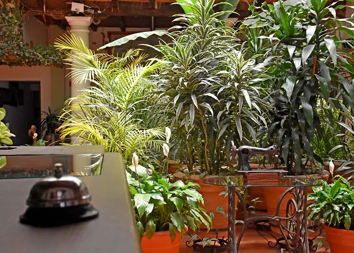 Hotel San Luis