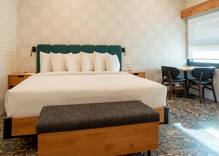 Pet Friendly hotel: The Dorothy Motel
