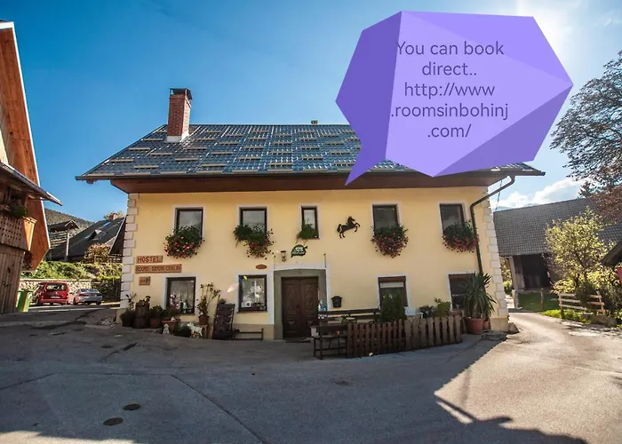 Hostel, Rooms And Apartment Ceklin