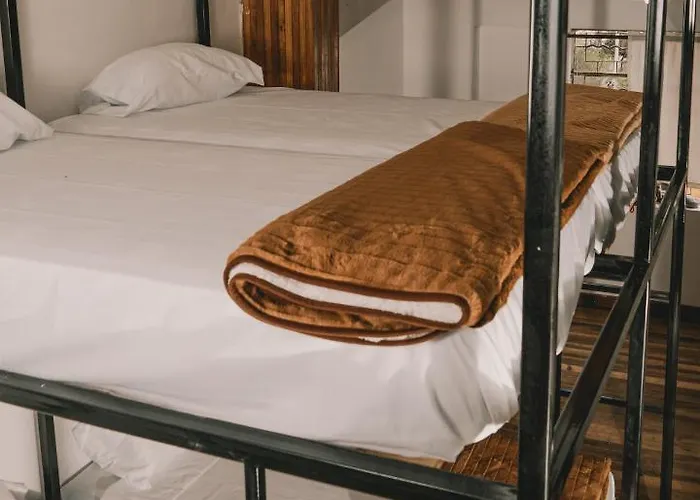 Wild Monkey Hostel