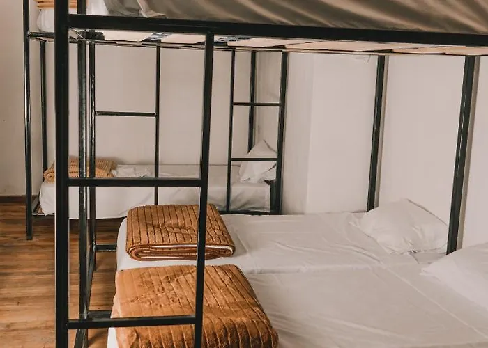 Wild Monkey Hostel
