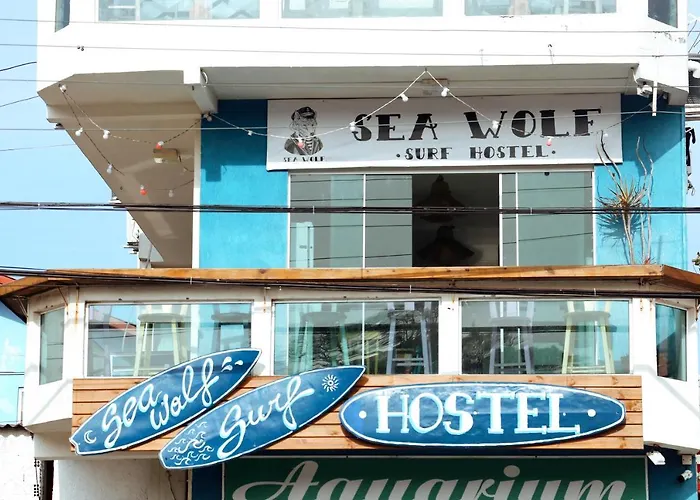 Sea Wolf Surf Hostel
