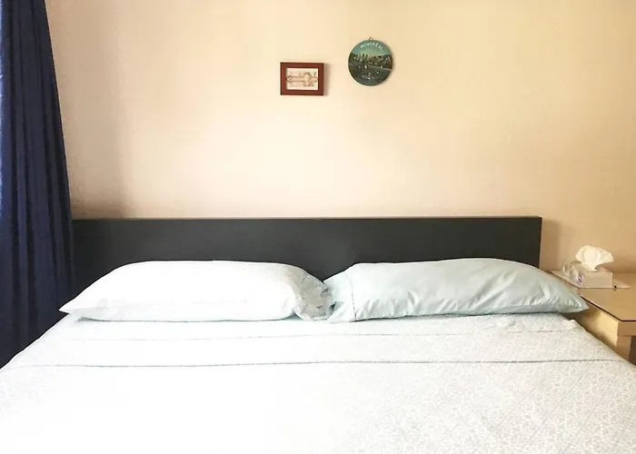 Freeda'S Place