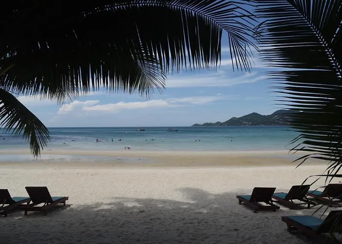 Cheap hotel: Coconut House Resort