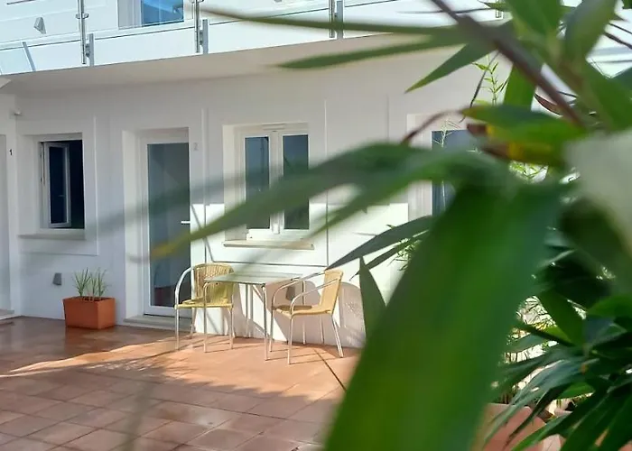 Hotel que admite mascotas: Naturalis