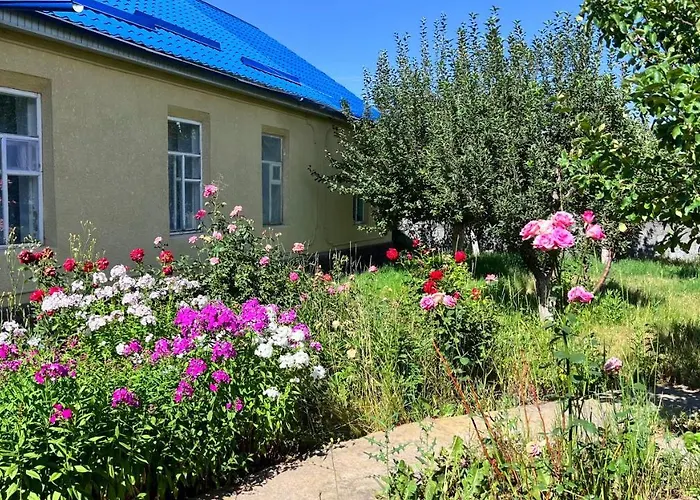 Surf Dacha Hostel