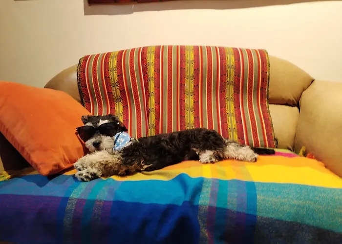 Family Hotel: Flying Donkey