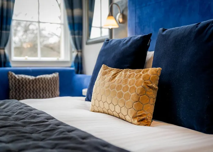 Pet Friendly hotel: The Berkeley Square Hotel Bristol