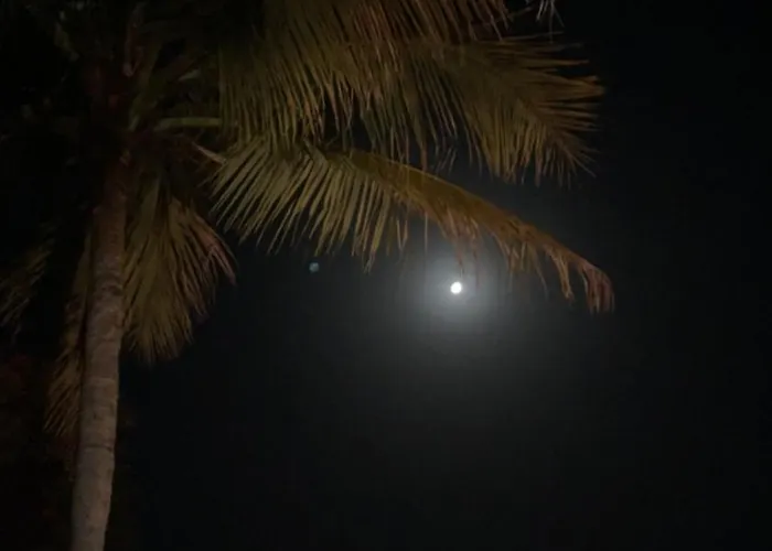 Tekri Farms And Retreat