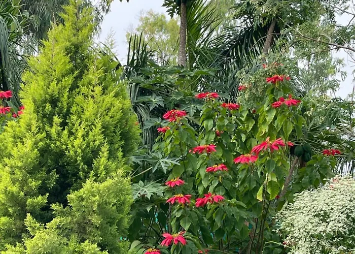 Tekri Farms And Retreat