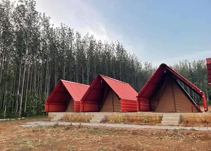 Trippr Chikkamagaluru