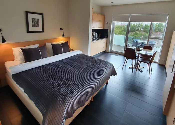 Saeluhus Apartments & Houses