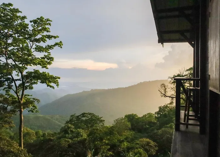 Mano Verde Minca