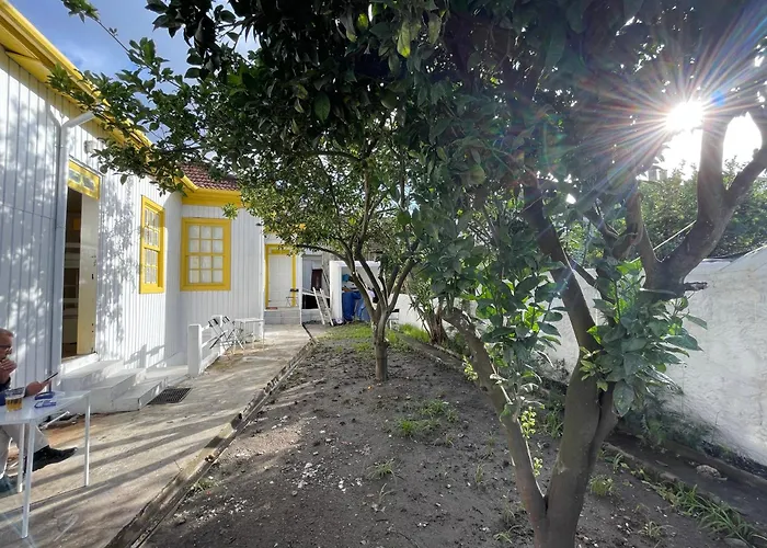 Owls Hostel Ildefonso