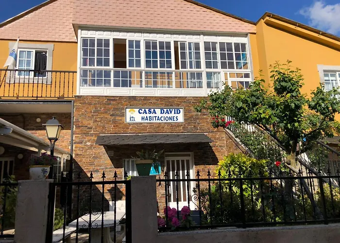Perros hoteles Casa David