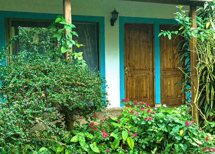 Hostal Y Cabanas Aorangi