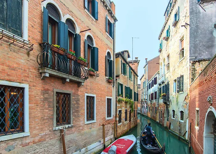 Animaux admis La Fenice Et Des Artistes