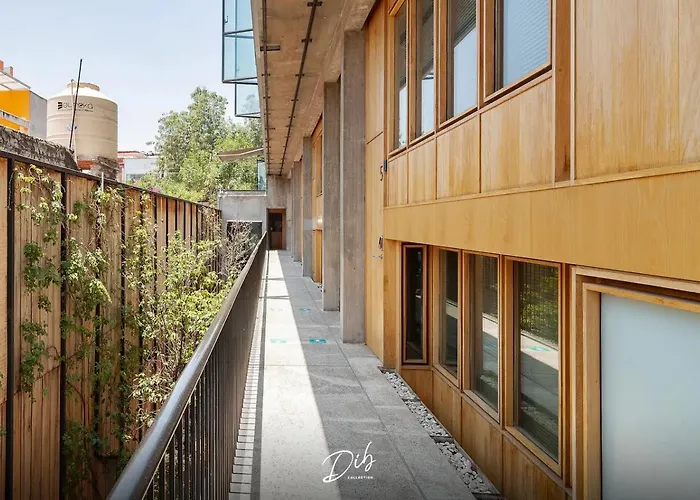 Dib Collection - Modern Stays In Roma Norte