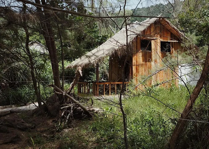 Robinson Bungalows