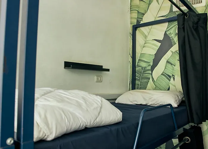 Jungle Jaffa Hostel Age 18 To 45