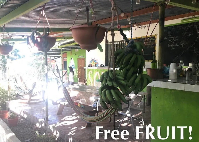 Soursop Hostel