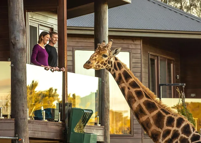 Your Cabin rentals Jamala Wildlife