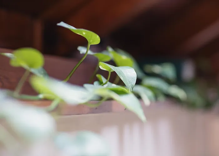 Apart hotel: Residence Jecna