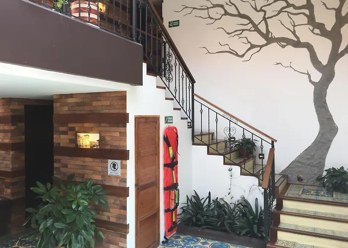 The Cranky Croc Hostel