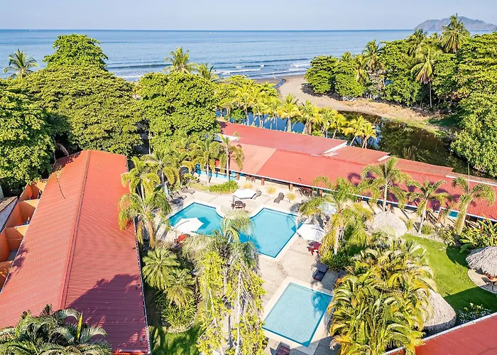 Pets Allowed Hotel Beach Break Resort