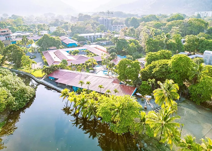 Pets Allowed Hotel Beach Break Resort