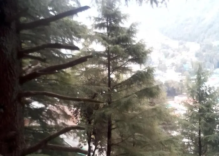 Himalayan Mountain View, Triund Trekking Hostel