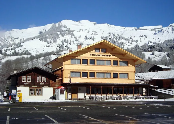 3-Sterne-Hotel: Hotel Wetterhorn