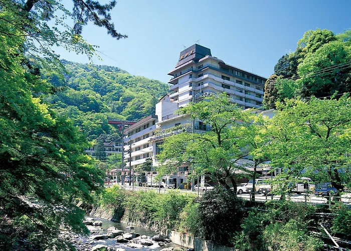 Hotel Okada