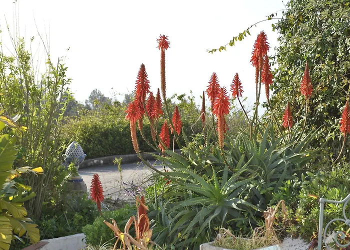 Casa de férias: Quinta De Sao Filipe