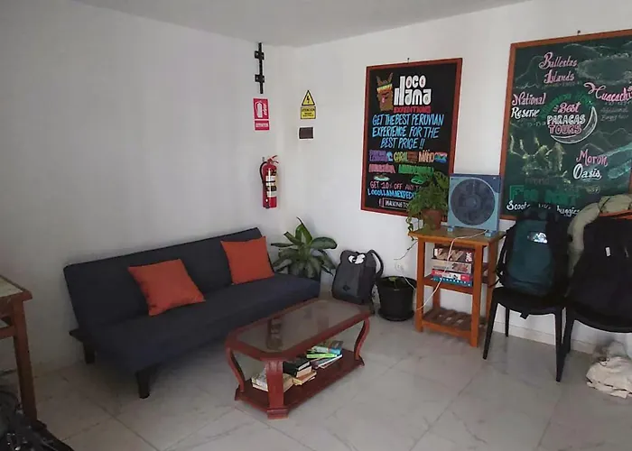 Perros hoteles Killamoon Centro
