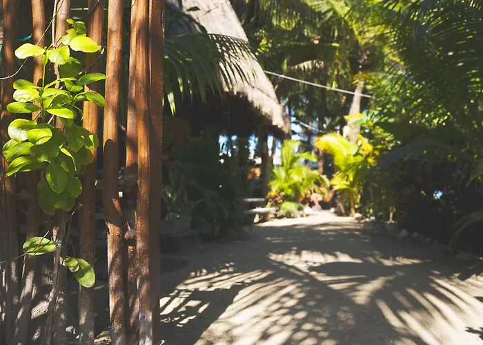 Kin Hostal And Camping