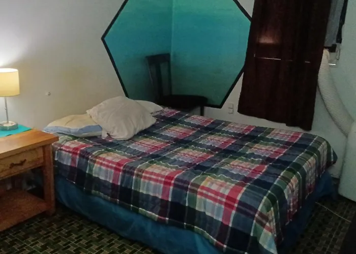 Medusa'S Hostel