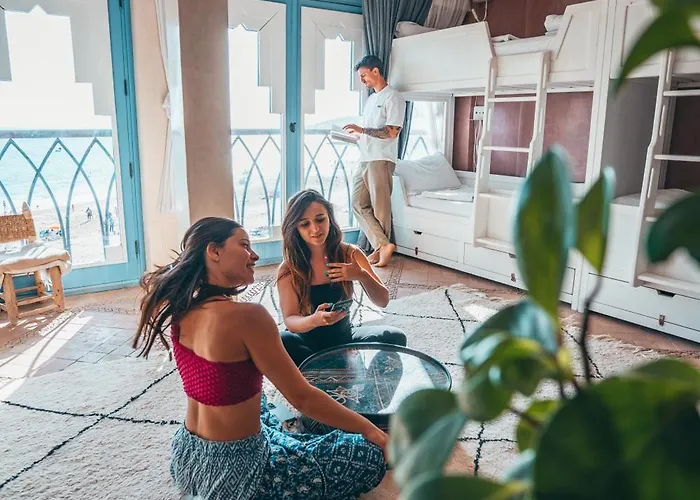 Teddy Pirate - Coliving