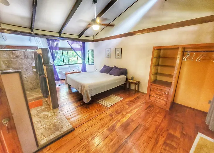 Beach Hotels Caribe Town Bungalows