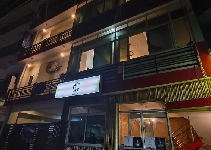Mild Life Hostel Rishikesh
