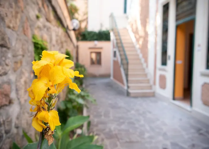 Lux Of The Vatican