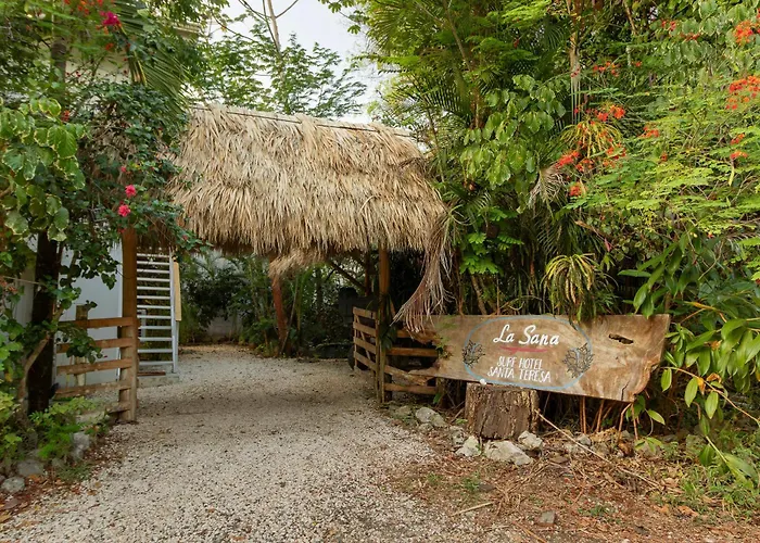 La Sana Surf , Playa Carmen