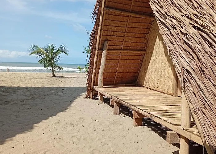 Dog friendly hotels El Hermosa Beach Camp