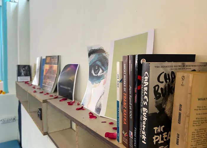 Serendipity Hostel & Cats Cafe