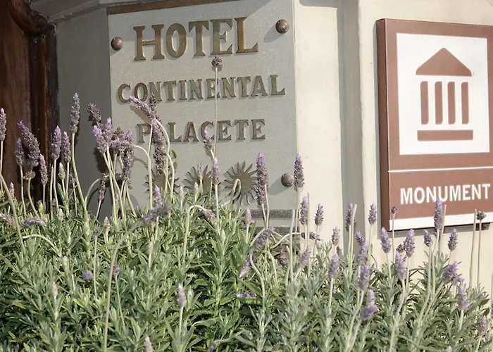 Pet Friendly hotel: Hotel Continental Palacete