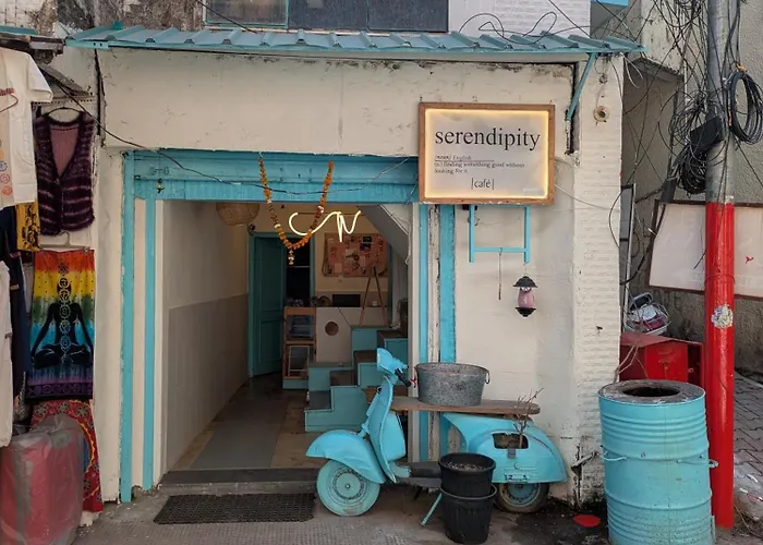 Serendipity Hostel & Cats Cafe