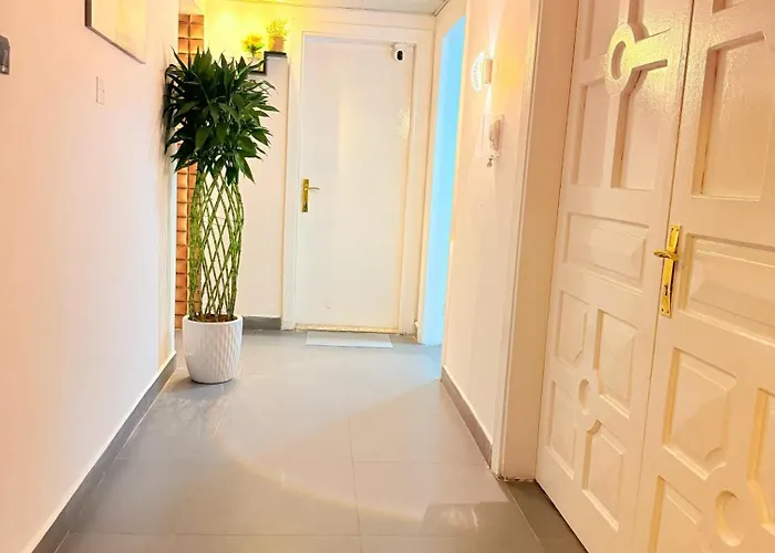 Orchid International