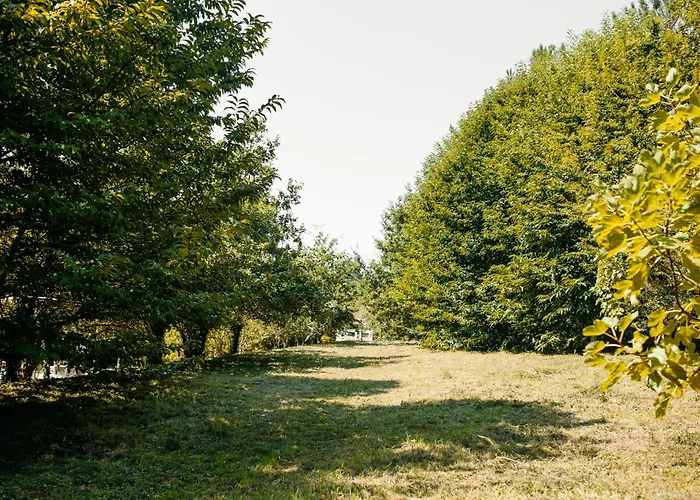 Hotel: Numa Experimental