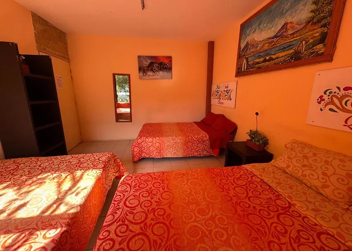 Apartamento: México Lindo